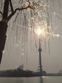 嘘诺
