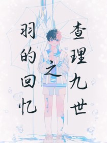 查理九世之羽的回憶