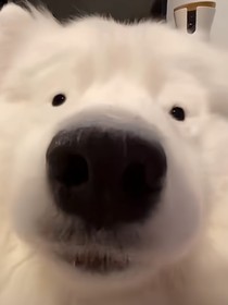 某人的Diary