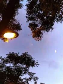 梦行录