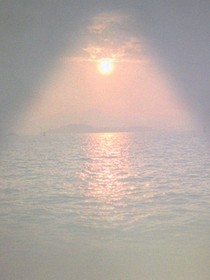 帶著小嬌妻混末日