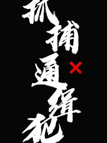 抓捕通缉犯