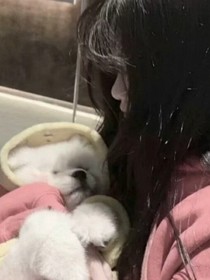 赴卿