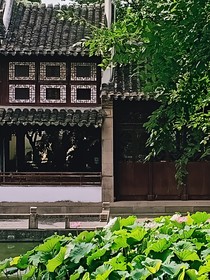 重生之空间大大助我喜结连理