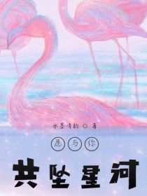 愿与你共坠星河