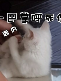 龙族1中de好句子