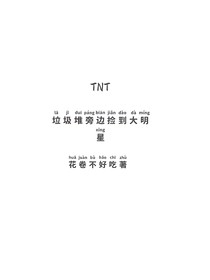 TNT垃圾堆旁邊撿到大明星