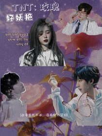 TNT：玫瑰好妖艳