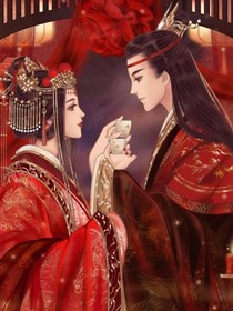 王妃穿越不好惹