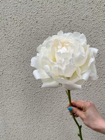 银星万点