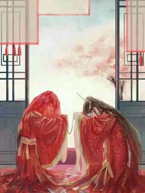 藍(lán)思追攻略手冊(cè)