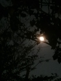 入嘩