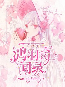 墨琴：鴻羽奇聞錄