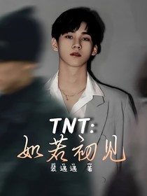 TNT：如若初见