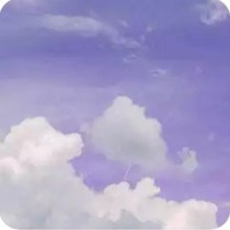 望今朝