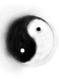 循環(huán)謀殺