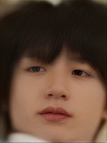 TF家族：故事