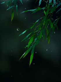 稍一段煙雨