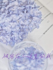被困在小说里的我