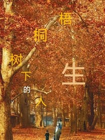 梧桐下的人生