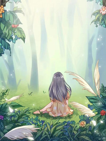 林间茶语：解密