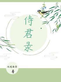 侍君录