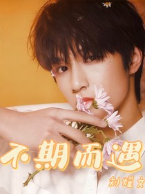 劉耀文：不期而遇