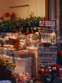 櫻花桃酥