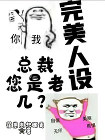 完美人设：总裁您是老几？