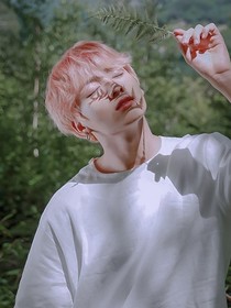 BTS：神明是小白蓮-d200