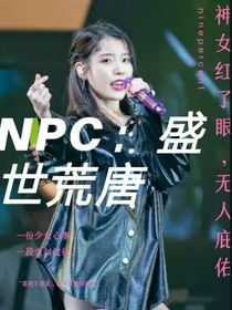 NPC：盛世荒唐