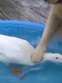 我擁有超能力