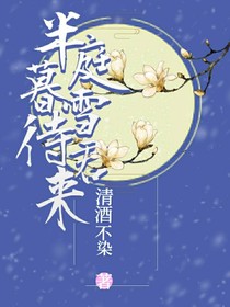 半庭暮雪待君來