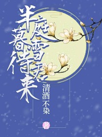 半庭暮雪待君来