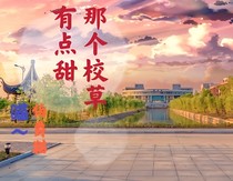 那个校草有点甜
