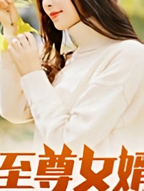 至尊女婿