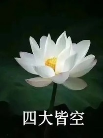 我是你的涛涛江水