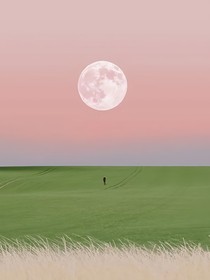 眉眼弯弯，赠你落花