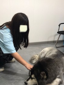 愛能動容幾年
