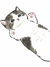 猫狗日常