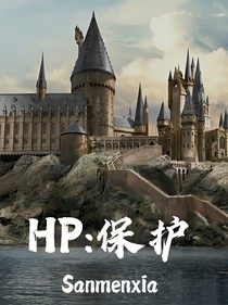 HP：保护