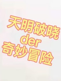 天明破晓的奇妙冒险——d434