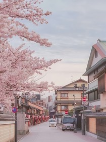合租遇到愛