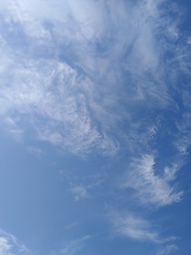 少年的心动始终难忘