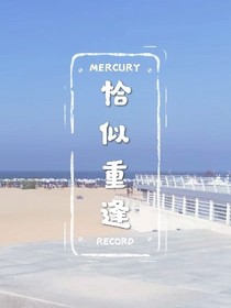 恰似重逢