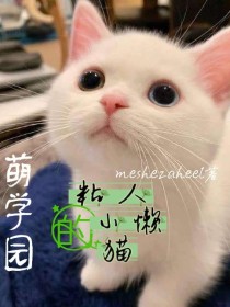 萌学园：粘人的小懒猫