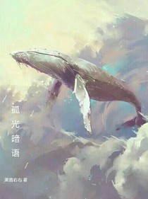 孤光暗语