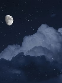 风乍起，不妨沿路看星光