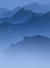 小花仙之彼岸花诅咒