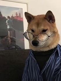 拔根鸡毛当令箭